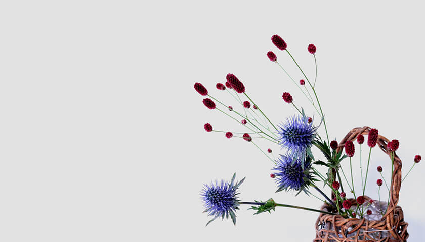 ������줬��찵�ˤ��չŲ��ɤȿ��ǡ�����Ĥ���ݥ���Ȥϡ�