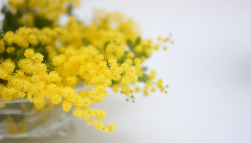 �����д˾ɤˤ���ܤδ��硣������������줿�����ɤ���µ����狼�餺�԰�