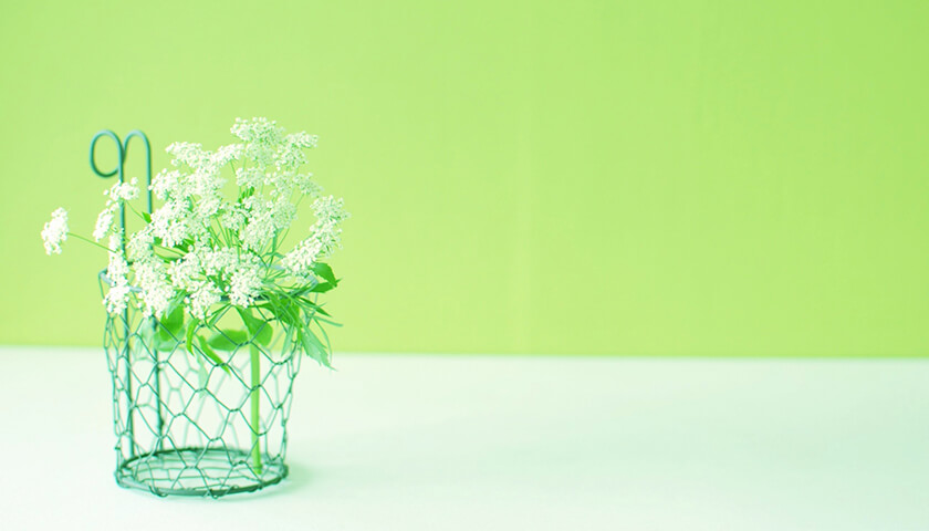 ʢ�ˤ��ĤŤ�������Ĳ�Ƽ���פȿ��Ǥ��줿���ɤΤ褦���µ��� ��ȯ�β�ǽ���ϡ�