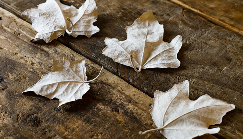 �ؤ����դ����Ǥ�����������ġ����Ť����ۤ����褤��